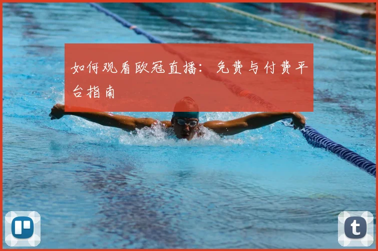 如何观看欧冠直播:免费与付费平台指南