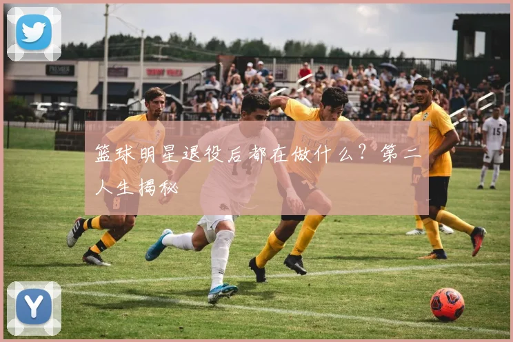 篮球明星退役后都在做什么？第二人生揭秘