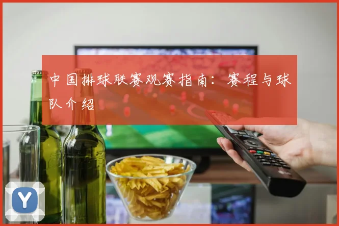 中国排球联赛观赛指南:赛程与球队介绍