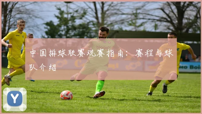 中国排球联赛观赛指南:赛程与球队介绍