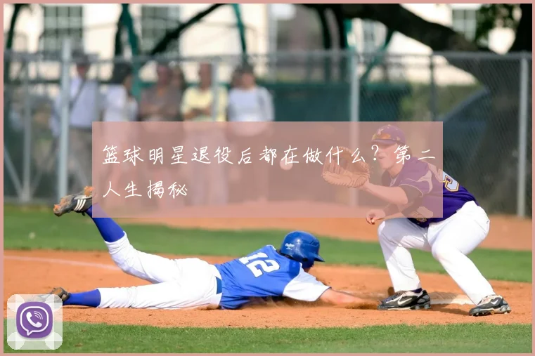 篮球明星退役后都在做什么?第二人生揭秘